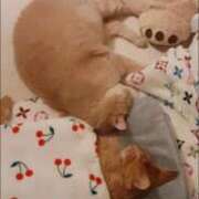 ヒメ日記 2026/01/31 23:16 投稿 まりあ feel＆airi