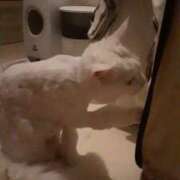 ヒメ日記 2026/02/02 13:16 投稿 まりあ feel＆airi