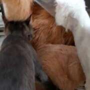 ヒメ日記 2026/02/03 11:46 投稿 まりあ feel＆airi