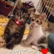 ヒメ日記 2026/02/03 18:06 投稿 まりあ feel＆airi