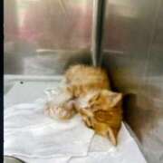 ヒメ日記 2026/02/05 08:36 投稿 まりあ feel＆airi