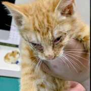 ヒメ日記 2026/02/06 11:16 投稿 まりあ feel＆airi