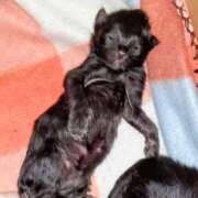 ヒメ日記 2026/02/06 21:06 投稿 まりあ feel＆airi