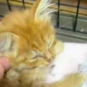 ヒメ日記 2026/02/07 19:16 投稿 まりあ feel＆airi