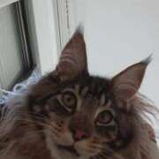 ヒメ日記 2026/02/08 22:06 投稿 まりあ feel＆airi