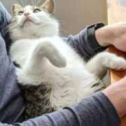 ヒメ日記 2026/02/09 22:16 投稿 まりあ feel＆airi