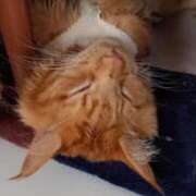 ヒメ日記 2026/02/11 08:16 投稿 まりあ feel＆airi