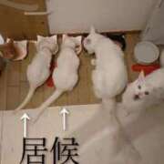 ヒメ日記 2026/02/11 21:16 投稿 まりあ feel＆airi