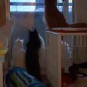 ヒメ日記 2026/02/12 08:46 投稿 まりあ feel＆airi