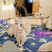 ヒメ日記 2026/02/12 22:36 投稿 まりあ feel＆airi