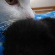 ヒメ日記 2026/02/13 04:26 投稿 まりあ feel＆airi