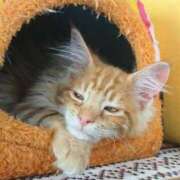 ヒメ日記 2026/02/13 13:46 投稿 まりあ feel＆airi