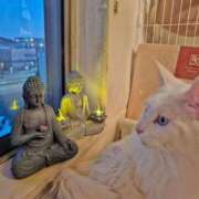 ヒメ日記 2026/02/14 07:26 投稿 まりあ feel＆airi