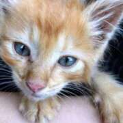 ヒメ日記 2026/02/14 21:16 投稿 まりあ feel＆airi