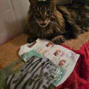 ヒメ日記 2026/02/15 20:56 投稿 まりあ feel＆airi