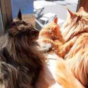 ヒメ日記 2026/02/16 08:06 投稿 まりあ feel＆airi