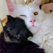 ヒメ日記 2026/02/18 09:06 投稿 まりあ feel＆airi