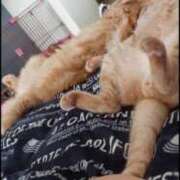 ヒメ日記 2026/02/20 11:46 投稿 まりあ feel＆airi