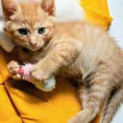 ヒメ日記 2026/02/21 08:06 投稿 まりあ feel＆airi