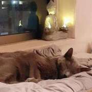 ヒメ日記 2026/02/22 16:46 投稿 まりあ feel＆airi