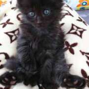 ヒメ日記 2026/02/26 11:36 投稿 まりあ feel＆airi