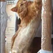 ヒメ日記 2026/03/02 13:16 投稿 まりあ feel＆airi