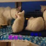 ヒメ日記 2026/03/02 20:06 投稿 まりあ feel＆airi