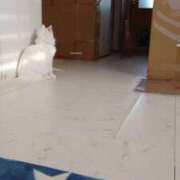 ヒメ日記 2026/03/04 11:06 投稿 まりあ feel＆airi