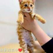 ヒメ日記 2026/03/04 17:26 投稿 まりあ feel＆airi