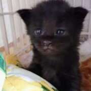 ヒメ日記 2026/03/04 17:36 投稿 まりあ feel＆airi