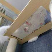 ヒメ日記 2026/03/04 18:36 投稿 まりあ feel＆airi