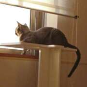 ヒメ日記 2026/03/05 06:46 投稿 まりあ feel＆airi