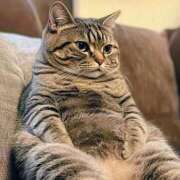 ヒメ日記 2026/03/09 06:36 投稿 まりあ feel＆airi