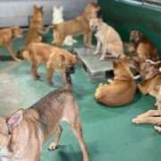 ヒメ日記 2026/03/10 20:46 投稿 まりあ feel＆airi