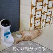 ヒメ日記 2026/03/12 22:36 投稿 まりあ feel＆airi