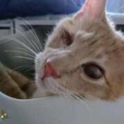 ヒメ日記 2026/03/14 17:56 投稿 まりあ feel＆airi