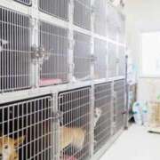 ヒメ日記 2026/03/16 14:50 投稿 まりあ feel＆airi