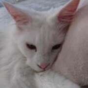 ヒメ日記 2026/03/16 23:06 投稿 まりあ feel＆airi