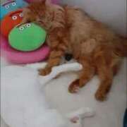 ヒメ日記 2026/03/17 07:15 投稿 まりあ feel＆airi