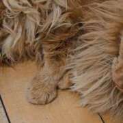 ヒメ日記 2026/03/17 11:05 投稿 まりあ feel＆airi