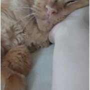 ヒメ日記 2026/03/18 06:45 投稿 まりあ feel＆airi