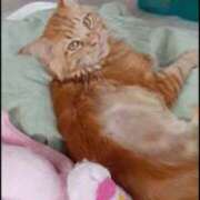 ヒメ日記 2026/03/18 14:55 投稿 まりあ feel＆airi