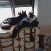 ヒメ日記 2026/03/19 13:05 投稿 まりあ feel＆airi