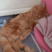 ヒメ日記 2026/03/20 13:45 投稿 まりあ feel＆airi