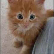 ヒメ日記 2026/03/21 14:05 投稿 まりあ feel＆airi