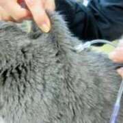 ヒメ日記 2026/03/23 20:45 投稿 まりあ feel＆airi