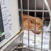 ヒメ日記 2026/03/24 12:25 投稿 まりあ feel＆airi