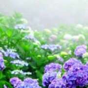 ヒメ日記 2026/03/26 07:25 投稿 まりあ feel＆airi