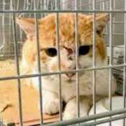 ヒメ日記 2026/03/27 22:15 投稿 まりあ feel＆airi