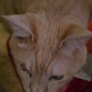 ヒメ日記 2026/03/29 19:56 投稿 まりあ feel＆airi